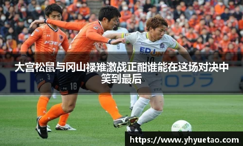 大宫松鼠与冈山禄雉激战正酣谁能在这场对决中笑到最后